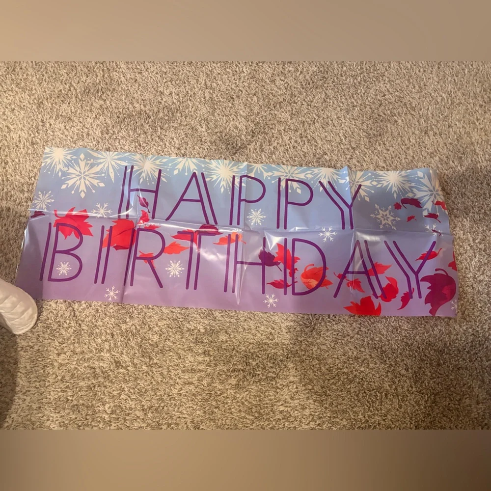 Frozen Themed Party Decorations and Supplies